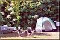 Traverse City KOA image 9