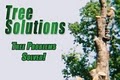 Tree Solutions Tree Service - professional tree removal, trimming, and tree care image 1