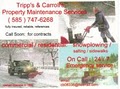 Tripp's & Carroll's Property Maintenance Services logo