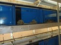 Tropical Fish Place image 4