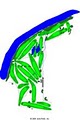 Trysting Tree Golf Club logo
