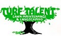 Turf Talent Lawn and Landscape logo