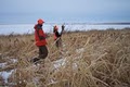 UGUIDE South Dakota Pheasant Hunting logo