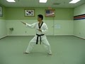 US Royal Martial Arts image 1