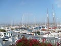 Ventura Harbor Village image 4
