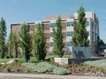 Veterans Affairs Hospital logo