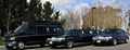 Victoria Limousine and Sedan Services image 4