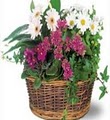 Village Florist image 1