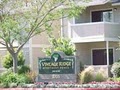 Vintage Ridge Apartment Homes image 1