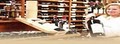 Vintage's Wines & Spirits image 1