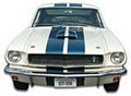 Virginia Classic Mustang image 2