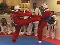 Virginia Martial Arts Institute image 6