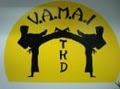 Virginia Martial Arts Institute image 7