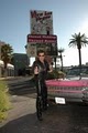 Viva Las Vegas Wedding Chapels Inc. image 8