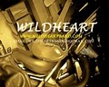 WILDHEART BAND image 2