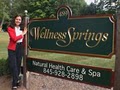 Wellness Springs, Natural Health Care, Holistic Day Spa and Yoga Center image 2
