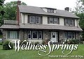 Wellness Springs, Natural Health Care, Holistic Day Spa and Yoga Center logo