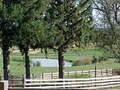 Whispering Oaks Farm image 6