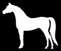 White Horse Country Pub & Restaurant The logo