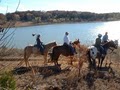 Widowmaker Trail Rides image 3