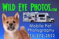 Wild Eye Photos - Mobile Pet Photography logo