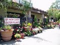 Windmill Nursery | Sacramento Nursery image 8