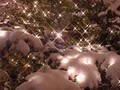 Winter Illuminations - Christmas Light Installation Contractors image 2