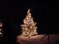 Winter Illuminations - Christmas Light Installation Contractors image 4