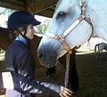 Wolfshohl Horse Training at Goose Creek Farm image 2