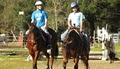 Wolfshohl Horse Training at Goose Creek Farm image 3