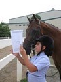 Wolfshohl Horse Training at Goose Creek Farm image 6