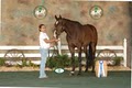 Wolfshohl Horse Training at Goose Creek Farm image 10