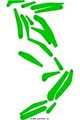 Woodbridge Golf Club logo