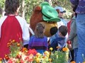 Yogi Bear Jellystone Park image 3