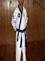Young Yu Tae Kwon DO Karate logo