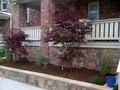 Your Maintenance Source Tree Service & Landscaping image 2