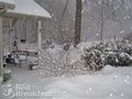 big locust farm bed & breakfast image 8