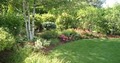 di Stefano Landscaping image 2