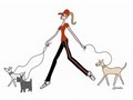 #1 Charleston SC Dog Walker & Pet Sitter Services - Always Pets image 2