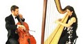 51 Strings Harp and Cello Duo logo