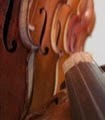 A. Cavallo Violins, LLC image 5
