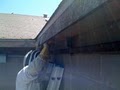 ABC Pest Management Services image 2