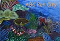 ABC Pet City image 3
