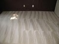 AGS Carpet Cleaning image 4