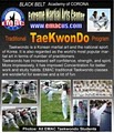 Academy of Corona Taekwondo image 6