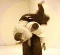 Aikido at the Aikibudokan image 2