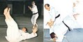 Aikido at the Aikibudokan image 4