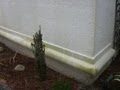All Pro Powerwashing image 2