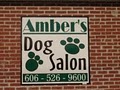 Amber's Dog Salon image 2