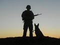 American K-9 Training Services image 4